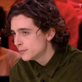 🎨-Chalamet @lord_cullen, Telegram Sticker