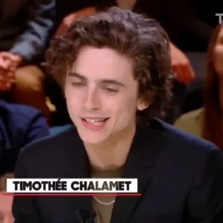 🎨-Chalamet @lord_cullen, Telegram Sticker