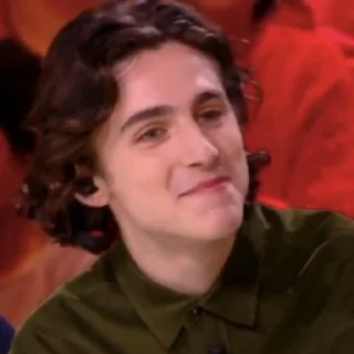 🎨-Chalamet @lord_cullen, Telegram Sticker