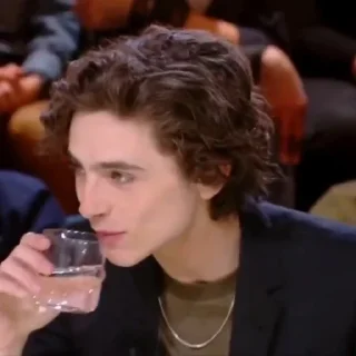 🎨-Chalamet @lord_cullen, Telegram Sticker