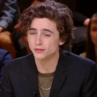 🎨-Chalamet @lord_cullen, Telegram Sticker