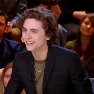 Chalamet @lord_cullen