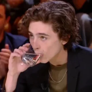 🎨-Chalamet @lord_cullen, Telegram Sticker