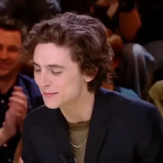 🎨-Chalamet @lord_cullen, Telegram Sticker