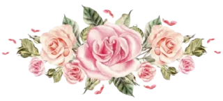 💐-ملصقات خاصه لـ @TOLLAY_LIKE ., Telegram Sticker