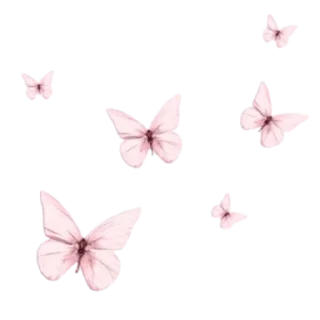 🦋-ملصقات خاصه لـ @TOLLAY_LIKE ., Telegram Sticker