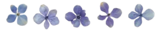 🌺-ملصقات خاصه لـ @TOLLAY_LIKE ., Telegram Sticker
