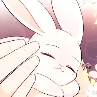 😏-The Relashionship between a rabbit and a Black Panter, Telegram Sticker
