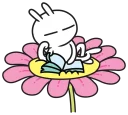 📘-Tuziki, Telegram Sticker