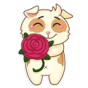 🌹-Cavy, Telegram Sticker