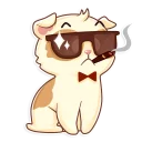 😎-Cavy, Telegram Sticker