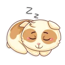 😴-Cavy, Telegram Sticker