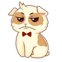 😕-Cavy, Telegram Sticker