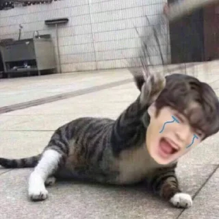 😭-᥀𖦹 ੈhumor twt by @stickernct ୭̥ ！៹𖤐, Telegram Sticker