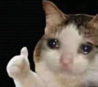 🥺-twt memes i live by, Telegram Sticker