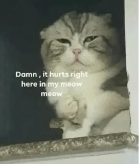😿-twt memes i live by, Telegram Sticker