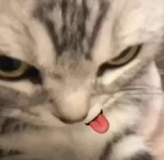 🎈-..@pfftpby  , Telegram Sticker