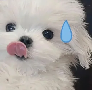 🎈-..@pfftpby  , Telegram Sticker