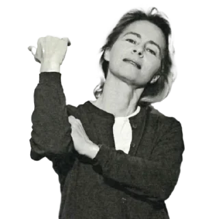 🖕-European Union / EU, Telegram Sticker