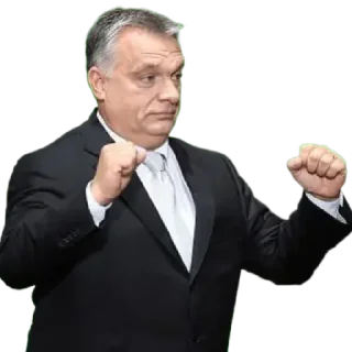 🤪-European Union / EU, Telegram Sticker