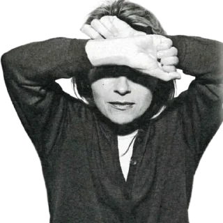 🙈-European Union / EU, Telegram Sticker
