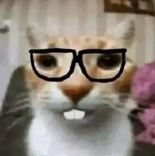 🤓-Universitas Genjot Makima :: @fStikBot, Telegram Sticker