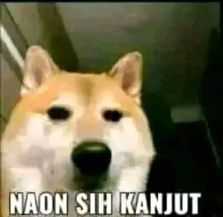 😐-Universitas Genjot Makima :: @fStikBot, Telegram Sticker