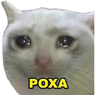 😭-@StickersOFC | @zLooker, Telegram Sticker