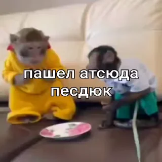🤬-Мартышкин пон by @DuoSticker_bot, Telegram Sticker