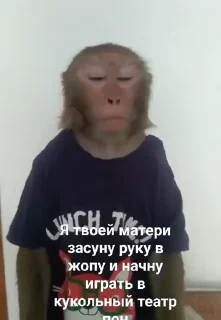 😡-Мартышкин пон by @DuoSticker_bot, Telegram Sticker