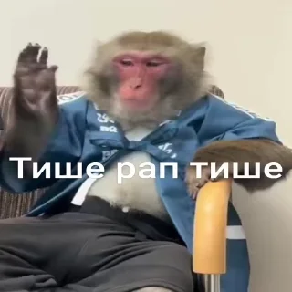 🥱-Мартышкин пон by @DuoSticker_bot, Telegram Sticker