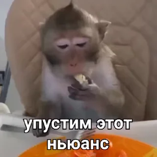 😞-Мартышкин пон by @DuoSticker_bot, Telegram Sticker