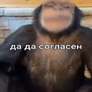 👍-Мартышкин пон by @DuoSticker_bot, Telegram Sticker
