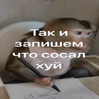 📝-Мартышкин пон by @DuoSticker_bot, Telegram Sticker