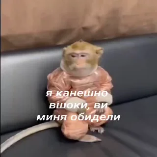 😔-Мартышкин пон by @DuoSticker_bot, Telegram Sticker