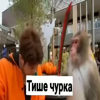 😡-Мартышкин пон by @DuoSticker_bot, Telegram Sticker
