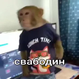 🤬-Мартышкин пон by @DuoSticker_bot, Telegram Sticker