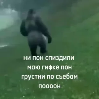 😩-Мартышкин пон by @DuoSticker_bot, Telegram Sticker