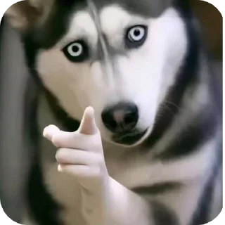✋-@itsnxxa freshhh, Telegram Sticker