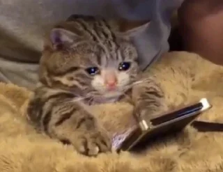 ☹-@itsnxxa freshhh, Telegram Sticker