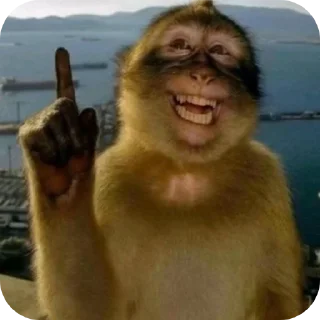👍-@itsnxxa freshhh, Telegram Sticker