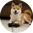 🎮-Vasya Piton, Telegram Sticker