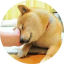 💤-Vasya Piton, Telegram Sticker