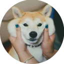 👫-Vasya Piton, Telegram Sticker