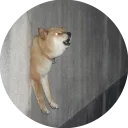 😫-Vasya Piton, Telegram Sticker