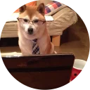 💻-Vasya Piton, Telegram Sticker
