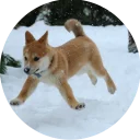 😳-Vasya Piton, Telegram Sticker