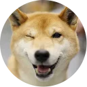 😉-Vasya Piton, Telegram Sticker