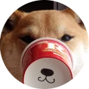 💣-Vasya Piton, Telegram Sticker