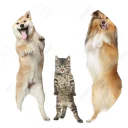 👫-Vasya Piton, Telegram Sticker